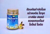 ไธอะโนซาน
ไทแรม ป้องกันกำจัดโรค เน่าคอดิน ราสนิม ใบจุด 100g