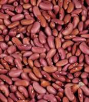 Rajma 1kg