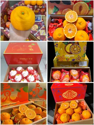 ส้มจุกสายพันธุ์ญี่ปุ่นยกลัง (3.5-4kgรวมกล่อง) หวานอร่อย เกล็ดส้มใหญ่ๆฉ่ำปากสุดๆ