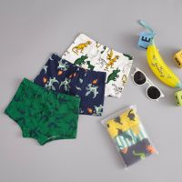 Kinchobabyshop UNDERWEAR53 #กางเกงในเด็ก Dragon and Dino เซ็ต 3 ตัว #กางเกงในเด็กผู้ชาย #กางเกงใน