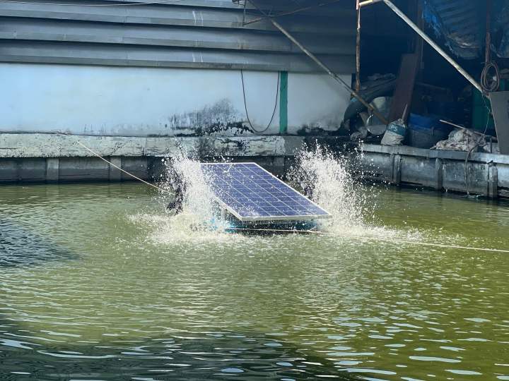 กังหันตีน้ำขนาด250วัตต์-เครื่องบำบัดน้ำเสีย-เครื่องตีน้ำ-เครื่องเพิ่มออกซิเจนในน้ำ-เครื่องปรับฮวงจุ้ยในบ่อน้ำ-บ่อกุ้งบ่อปลา