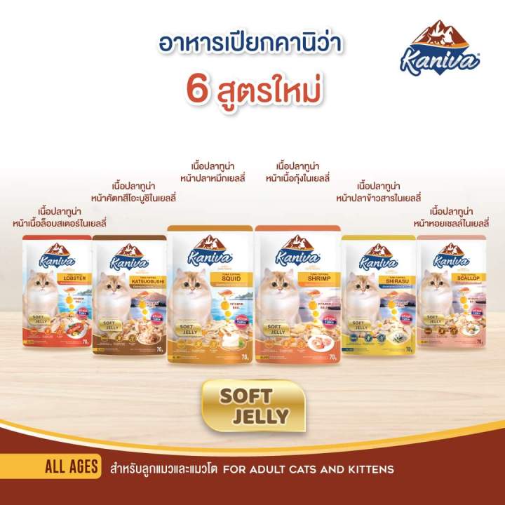 อาหารเปียกคานิว่า-kaniva-เนื้อปลาทูน่าเน้นๆ-พร้อมด้วย-vitamin-balls-พิเศษเฉพาะจากคานิว่า