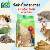 [2ลิตร] ซังข้าวโพด Exotic Cob ซังข้าวโพดรองกรง ขี้เลื่อย ขี้เลื่อยรองกรง  สำหรับกระต่าย หนูแฮมสเตอร์ แกสบี้ เม่น งู เต่าชูคาต้า