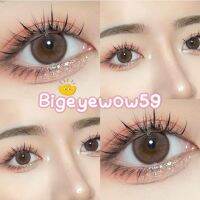 คละลาย  Brown mini lens ขนาดมินิ ธรรมชาติ ตาหวาน เลนส์กรองแสง ใส่สบาย มีอย.