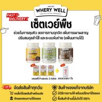 Wherywell เวย์โปรตีน เซ็ต 1 เดือน โปรตีนพืช แพ้นมทานได้