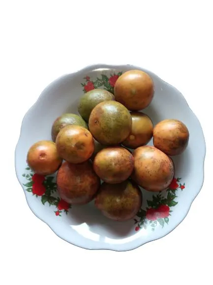 Buah Campoleh Atau Buah Sawo Walanda Segar Per 1 Kg | Lazada Indonesia