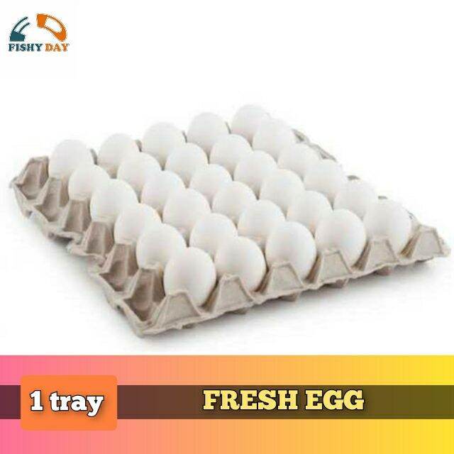 FRESH EGG 1 TRAY Lazada PH Buy sell online Eggs with cheap price