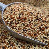 มิลเล็ตรวม 5สี Millet เขาเล็ก แพคสูญญากาศ อาหารนก สำหรับนก (1 kg )