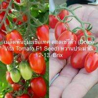 เมล็ดพันธุ์ มะเขือเทศ ดอลเซ่วีต้า (Dolce Vita Tomato ?? F1 Seed) หวานประมาณ 12-13 Brix บรรจุ 3 เมล็ด