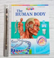 Fascinating Facts: The Human Body

 ความรู้ภาษาอังกฤษ ความรู้ทั่วไป ร่างกายมนุษย์ ร่างกาย