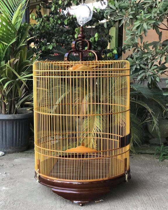 Sangkar Burung Murai Sangkar Murai Jati Sangkar Murai No2 Lazada