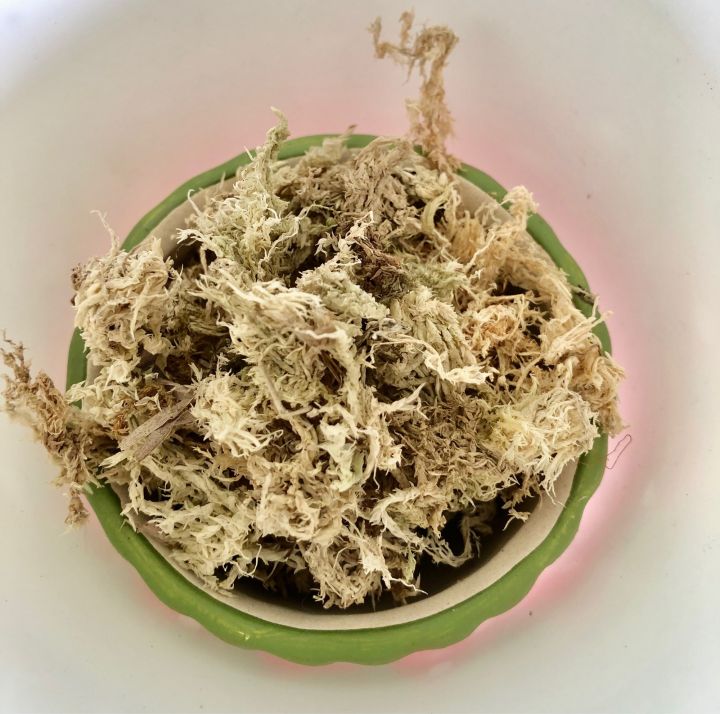 สแฟกนั่มมอส-sphagnum-moss-แบ่งขาย-เกรดพิเศษ-เนื้อสวย