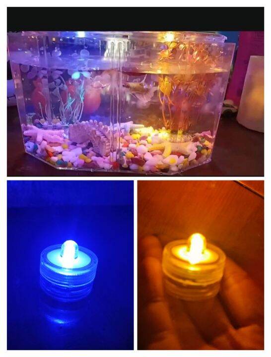 Aquarium Lamp Battery Operated Lazada PH