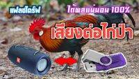 แฟลชไดร์ฟ/เมมเสียงต่อไก่ป่า ความยาว 8-10 ชั่วโมง เก็บเงินปลายทาง