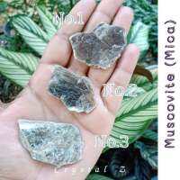 Muscovite Mica | มัสโคไวท์ ไมกา ?
#แร่ไมกา ผิววาว แร่ธรรมชาติ แร่สะสม