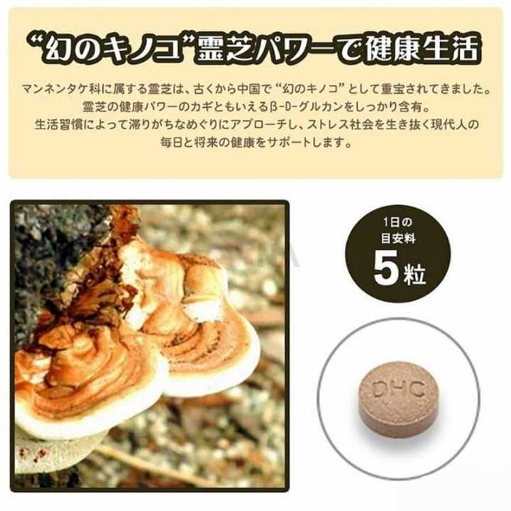 ของแท้-100-นำเข้าจากญี่ปุ่น-dhc-reishi-30-วัน-สารสกัดเห็ดหลินจือ-ปรับสมดุลร่างกาย-บำรุงร่างกายให้แข็งแรง