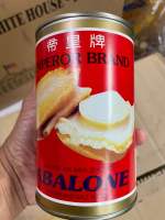 เป๋าฮื้อในน้ำเกลือ 10 ตัว Abalone Australia