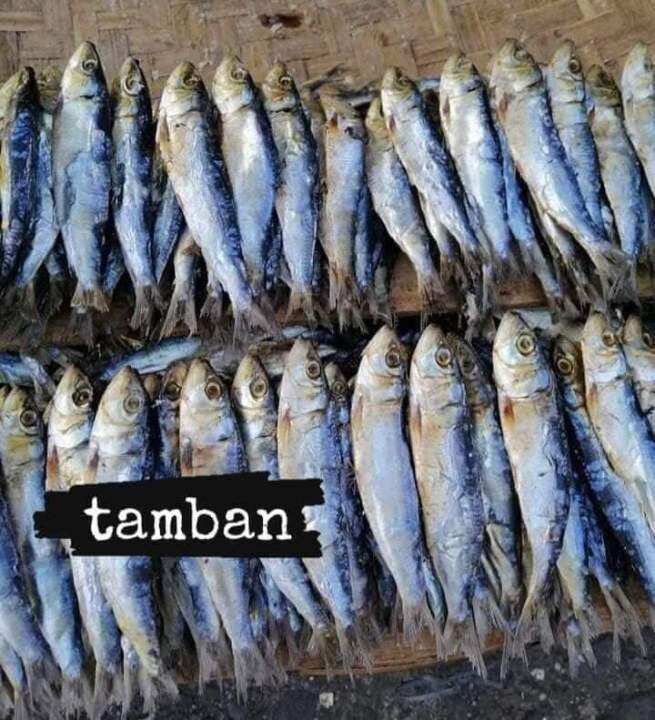 1kg. Dried Fish Tamban | Lazada PH