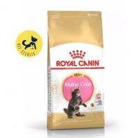 Royal Canin Kitten Mainecoon 36 สำหรับ ลูกแมว สายพันธุ์แมนคูน ขนาด10kg.