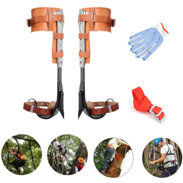 Pruning Claw Tree Climbing Gear with Double Shoulder Seat Belt ...