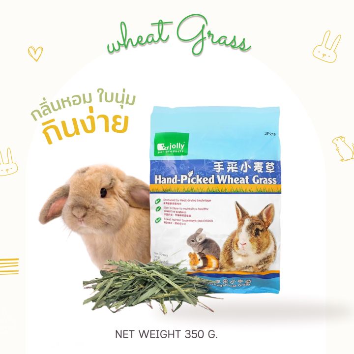 lot-ใหม่ล่าสุดค่ะ-หญ้าวีทกราส-wheat-grass-สำหรับกระต่าย-แก๊สบี้-ชินชิล่า-350-เขียว-ใหม่