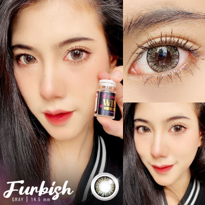 Furbish (gray,chestnut) ตาวาวสวย ไม่หลวกไม่เด่นเกิน