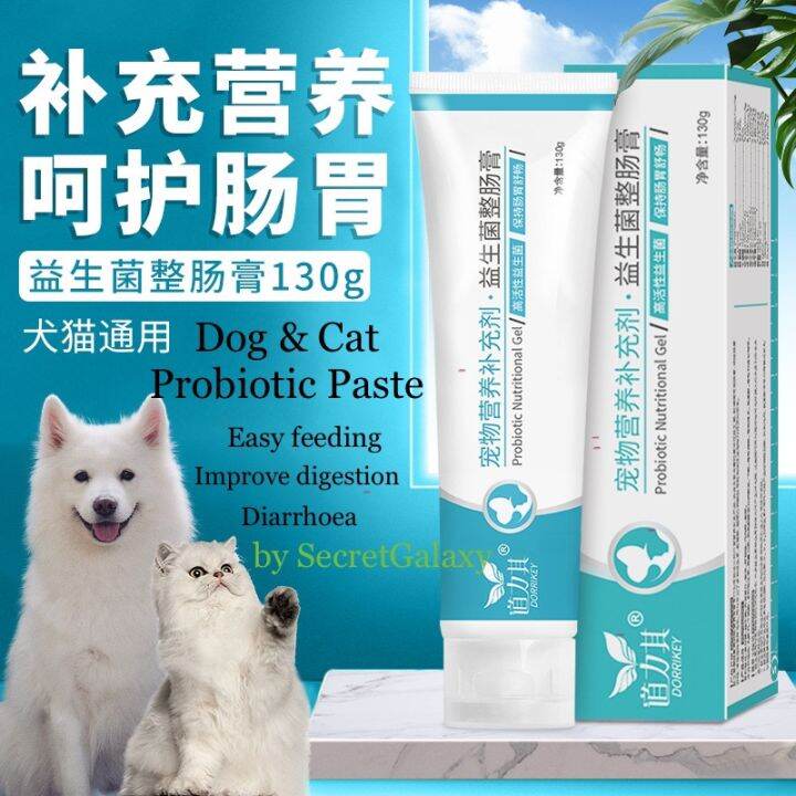 Cat probiotic Dog Probiotic Pet Probiotic Diarrhoea Vomit Digestion