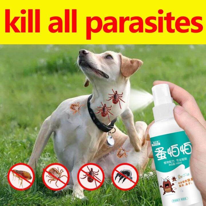 Pink Stuff Tick and Flea Spray Remover Suitable for Dogs and Cats Plant