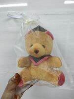 Graduation bear