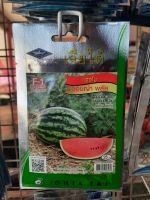 แตงโม ซอนญ่า พลัส Watermelon Sonya Plus