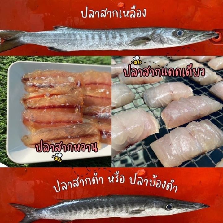 ปลาสากแดดเดียว-ปลาน้ำดอกไม้แดดเดียว-ปลาเนื้อนิ่มแดดเดียว-นิ่มกว่าปลาอินทรีย์