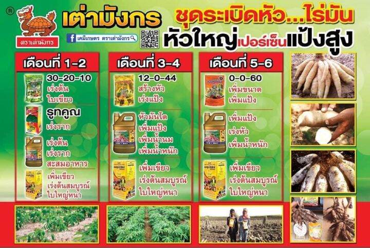 ปุ๋ยเกล็ด-ระเบิดหัวมัน-0-0-60-ตราเต่ามังกร-ขนาด1kg