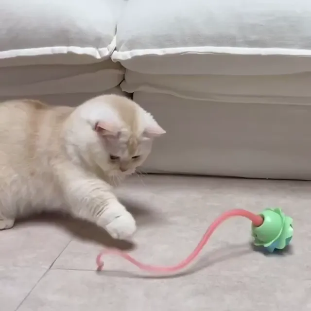 KAFBO K-Monster Smart cat toy ของเล่นแมว ของเล่น ของเล่นแมวอัตโนมัติ ของเล่นแมวอัจฉริยะ ของเล่นสัตว์เลี้ยง