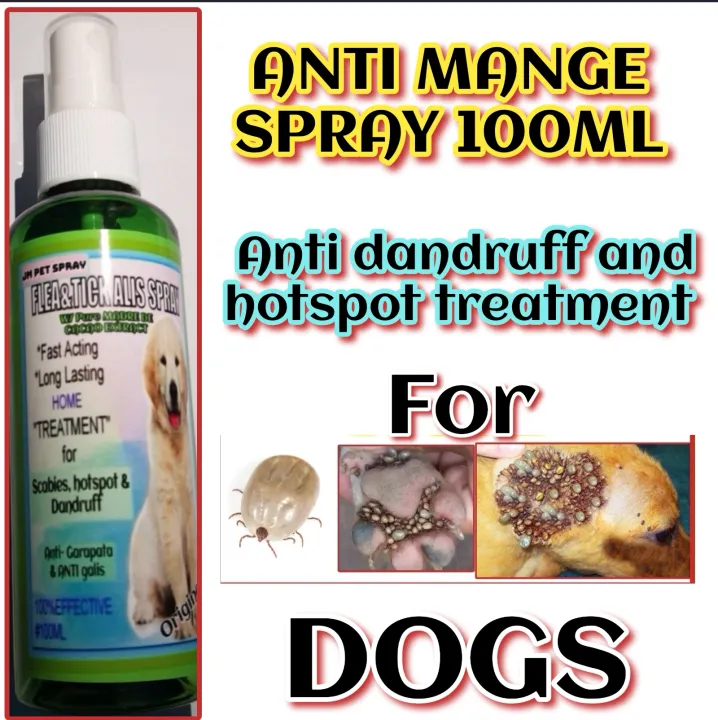 GARAPATA, PULGAS AT GALIS (hotspot & dandruff) TREATMENT FOR DOG 100ML ...