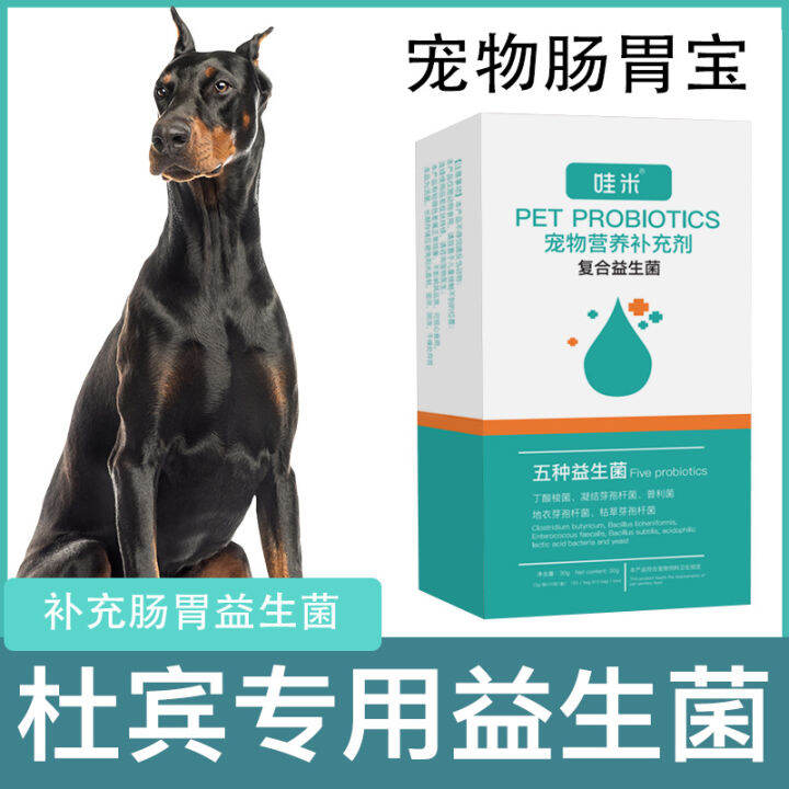 Doberman Special Probiotic Powder Pet Dog Dog Small Puppy Adult Dog ...