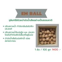 EM BALLจุลินทรีย์ช่วยบำบัดน้ำเสียอย่างเป็นธรรมชาติ