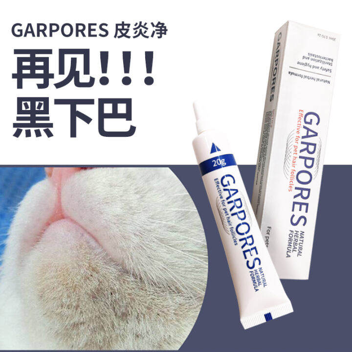 Cat Black Chin Small Black Dots Garpores Kipris Bursal Blackhead