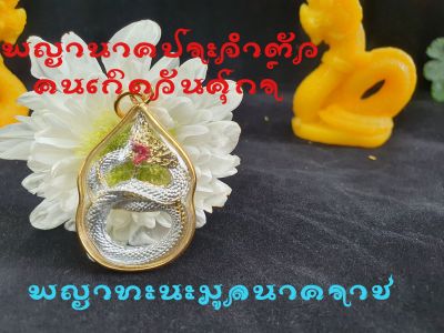 พญาทะนะมูลนาคราช เหรียญพญานาคประจำวันศุกร์(ปลุกเสกแล้ว)