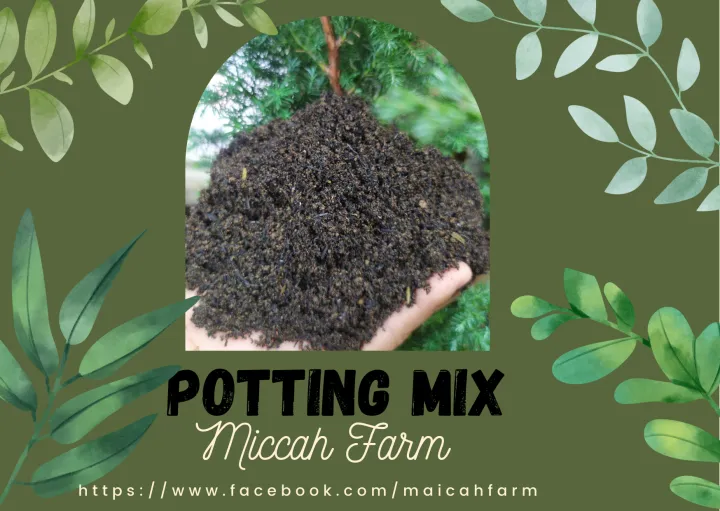 Potting mix soil Soil Mix Loam soil mix Lazada PH