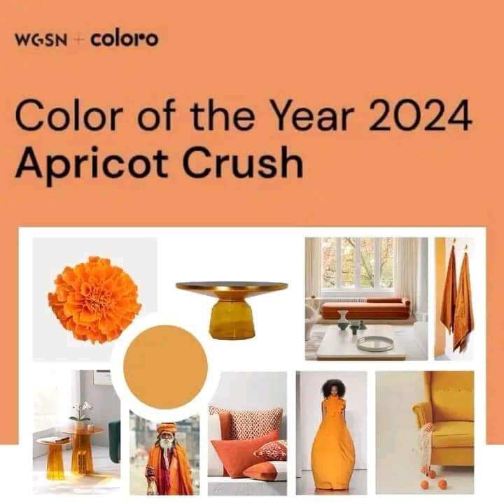 Color of the year 2024 Apricot Crush apricot 2024 Dress apricot Dress