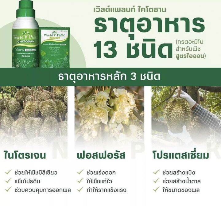 world-plant-5ชุด-คู่หูมหัศจรรย์-ชุดคู่หู-รับประกันของแท้แน่นอน100