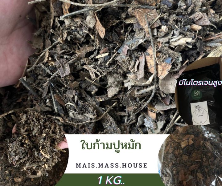 ใบก้ามปูหมัก-1kg-ผ่านการหมัก-100-ไนโตรเจนสูง-ปลูกไม้ดอก-ไม้ประดับ-ไม้ยืนต้น