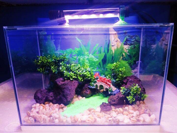 BRIDGE DESIGN AQUARIUM COMPLETE SET 12 INCHES Lazada PH