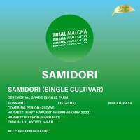 TRIAL MATCHA | ผงมัทฉะอุจิสายพันธุ์เดี่ยว Samidori Single cultivar