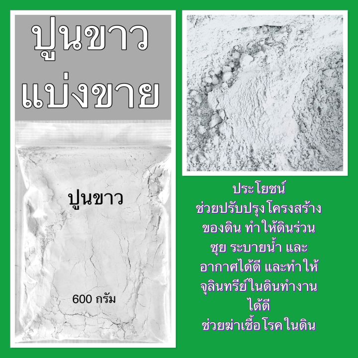 ปูนขาวแบ่งขาย-บรรจุถุงซิป-สำหรับใช้ทางการเกษตร-ไล่แมลง-หอยทาก-ปรับสภาพดิน