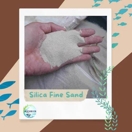 Beige Silica Fine Sand for Aquarium, Terrarium, Aqua Scape Substrate 1