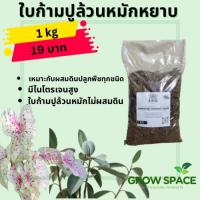 ใบก้ามปูล้วนหมักหยาบ Composted Samenea Leaves