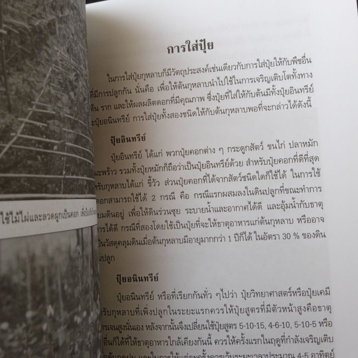 หนังสือ-กุหลาบ-โดย-กลุ่มเกษตรสัญจร-62-หน้า-มีขีดเขียน-ตามรูป