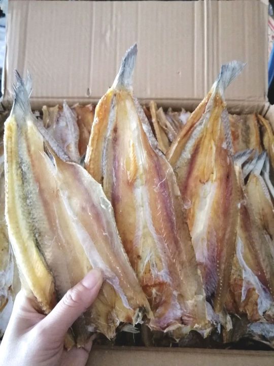 การันตีความอร่อย-sale-ปลาช่อนทะเลแห้ง-ปลาจิโก๋-ของดี-ราคาถูก-คุณภาพจัดเต็ม-สุดคุ้ม