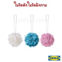 ⚡พร้อมส่ง⚡IKEA ÅBYÅN ใยขัดตัว ไหมขัดตัว ที่ขัดตัว ฟองน้ำ  ขัดตัว  อาบน้ำ